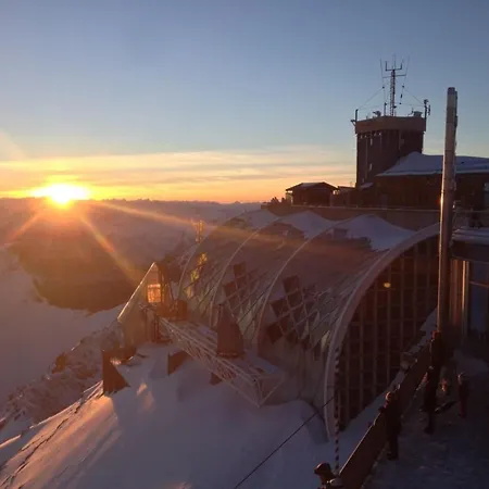 Vergissmeinnicht Garmisch-Partenkirchen