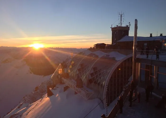 Vergissmeinnicht Garmisch-Partenkirchen
