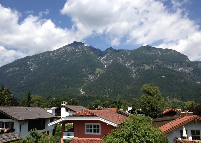 Vergissmeinnicht Garmisch-Partenkirchen