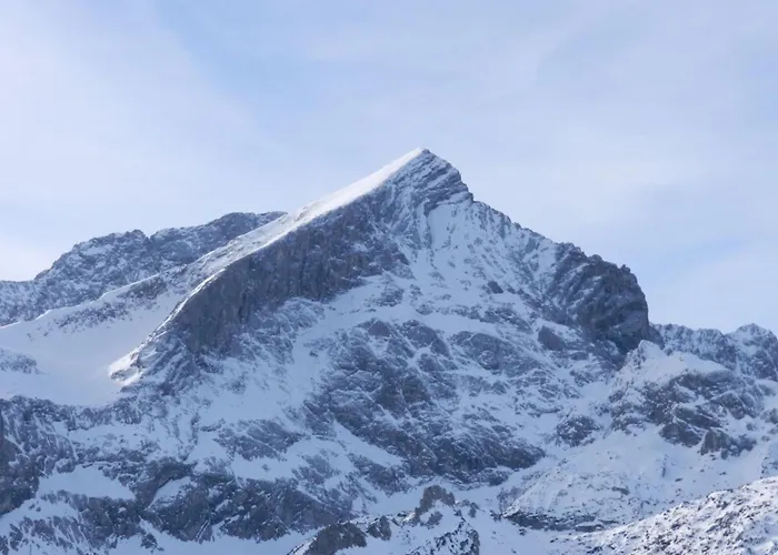 Vergissmeinnicht Garmisch-Partenkirchen