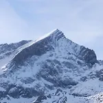 Vergissmeinnicht Garmisch-Partenkirchen